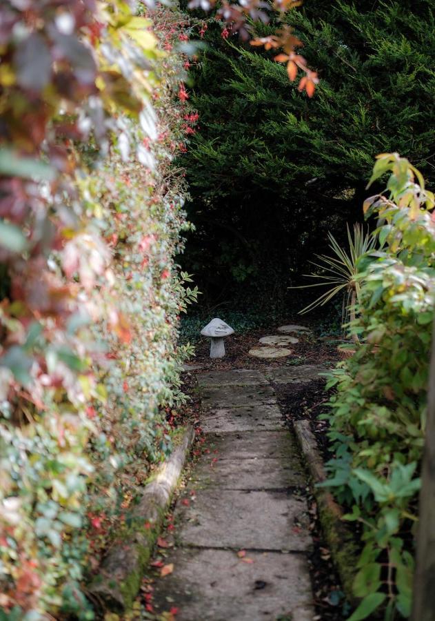 The Cottage @ Burkedale House Corofin  外观 照片