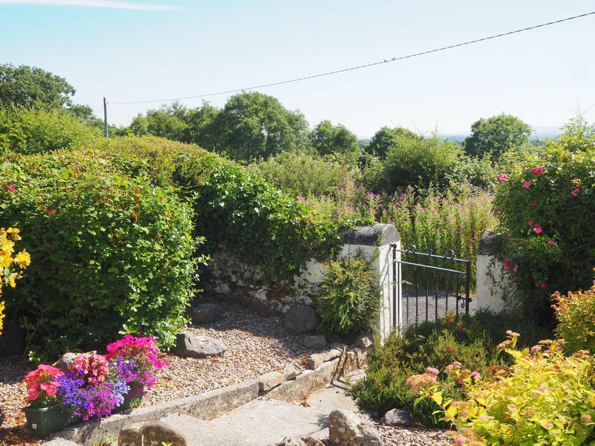 The Cottage @ Burkedale House Corofin  外观 照片