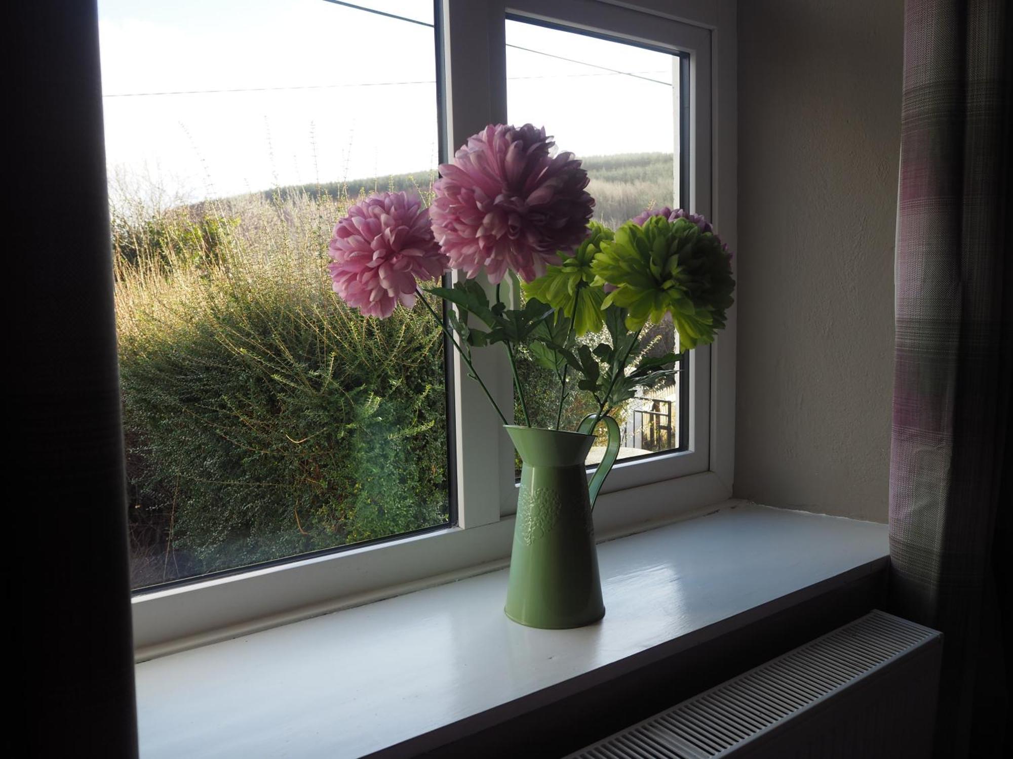 The Cottage @ Burkedale House Corofin  外观 照片