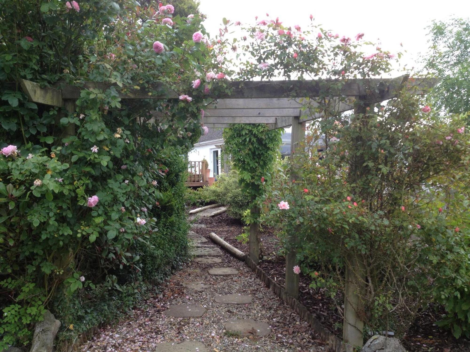 The Cottage @ Burkedale House Corofin  外观 照片